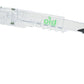 The Clear Originals Polarized Blue-Green Wide