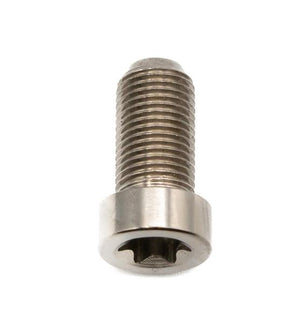 Better Bolts Sram AXS POD Controller Schraube Titan silver
