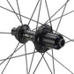 NEWMEN Evolution SL R.35 12x142mm Centerlock Shimano 9/10/11/12 fach Laufrad hinten
