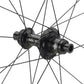 NEWMEN Evolution SL R.35 12x142mm Centerlock Sram XDR 12 fach Laufrad hinten