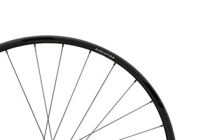 NEWMEN Evolution SL X.R.25 Gravel 12 x 142mm Centerlock Sram XDR 12 fach Laufrad hinten